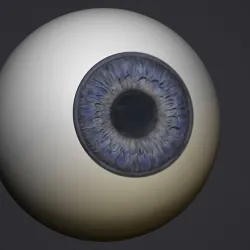 Human eye
