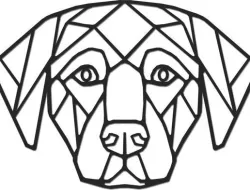 Labrador