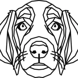 Labrador