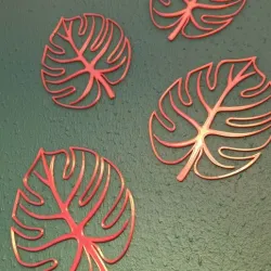 Monstera leaf