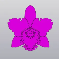 Orchid Cup coaster