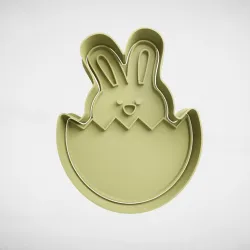 rabbit in easter egg