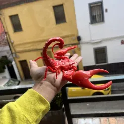 scorpion ,scorpion