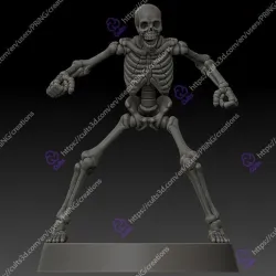 Skeleton Bone Set.