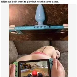 Switch Butt Plug Case