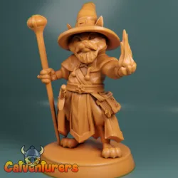 Wizard Cat