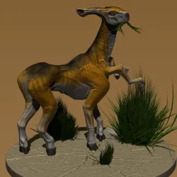xeno creature