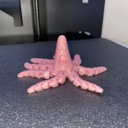 Articulated Patrick Star Octopus