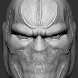 Bane Custom Head Custom Design