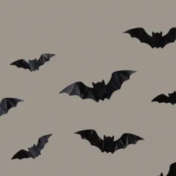 Bat Box - The Bat house