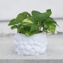 BUBU - Vase mode planter