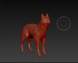 cat