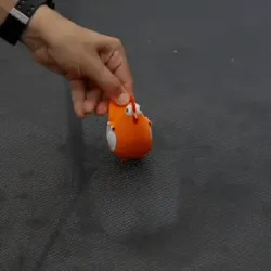 chicken flaps wing