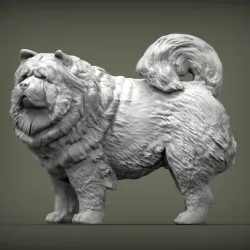 Chow Chow 3D print model