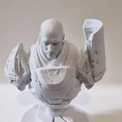 commander zavala bust
