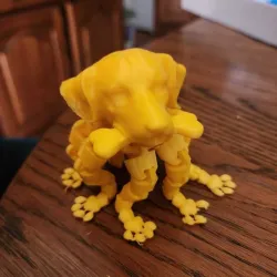 Dog Octopus