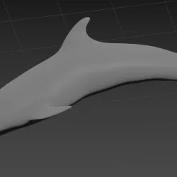 DOLPHIN 3D Print Model