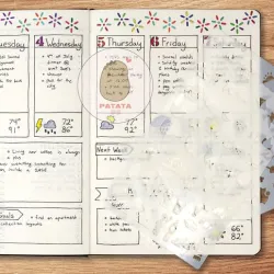 Dotted Journal Stencil Set x 12 (Over 300 designs) 1/2