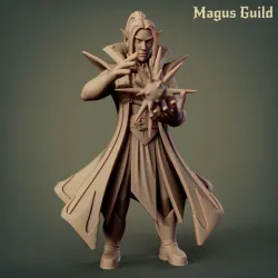Elf Sorcerer – MG2.5