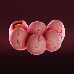 Exeggcute Exeggutor Exgutor aloha