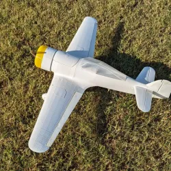 Fokker D.XXI WWII Fighter 800mm (L3D)