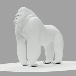 Gorilla