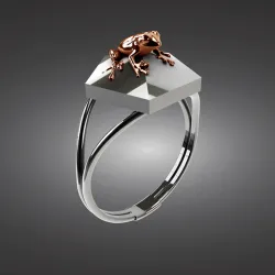 Harry Potter, chocolate frog ring