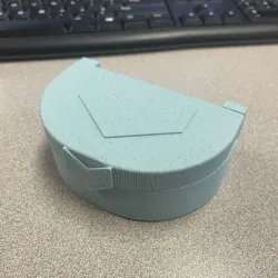 hearing aid case
