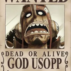 LITOFANIA - USOPP POSTER - KEY RING SIZE