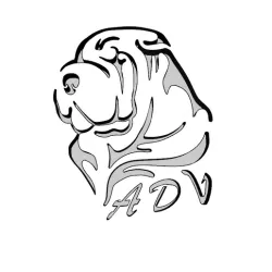 logo Print 3D by ADV