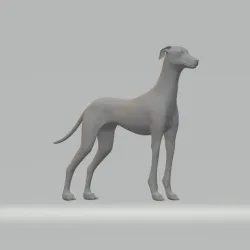 Miles Whippet Neutral Pose Free 3D print model