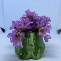 Octopus plant Pot