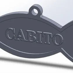 Placa nombre Gato PERSONALIZABLE