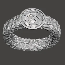 RING OF NIBELUNG-SAINT SEIYA