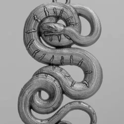 Snake 3D print model