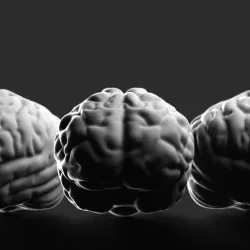 Stylized Brain
