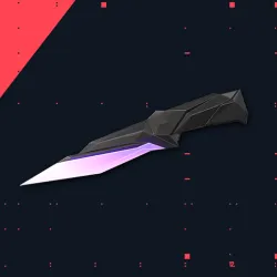 VALORANT SINGULARITY KNIFE