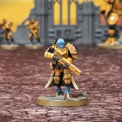 Wayfairers Confederation Captain