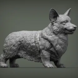 Welsh Corgi Pembroke 3D print model