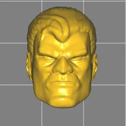 BRUCE BATMAN HEAD