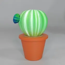 Cactus pot