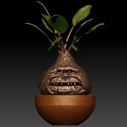 Carnivorous plant, "Mandrake"