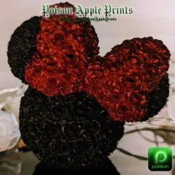 Disney Minnie Rose