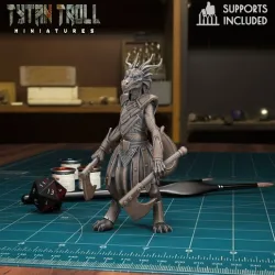 DnD Heroes - Female Dragonborn Fighter [Pre-Supported]