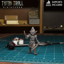 DnD Heroes - Female Goblin Fighter [Pre-Supported]