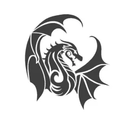 DRAGON 2D