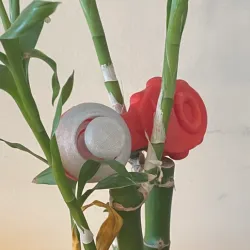 Fidget controler