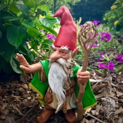 Gnome Druid, Tabletop RPG miniature or figurine