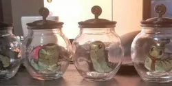 Hollow Knight Grubs in Jar Collection