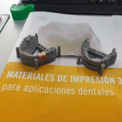 Modelos dentales con encía falsa y resina biocompatible / Dental model with false gum and biocompatible resin.